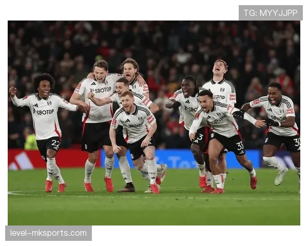 富勒姆引进新星，球队竞争力显著提升引关注