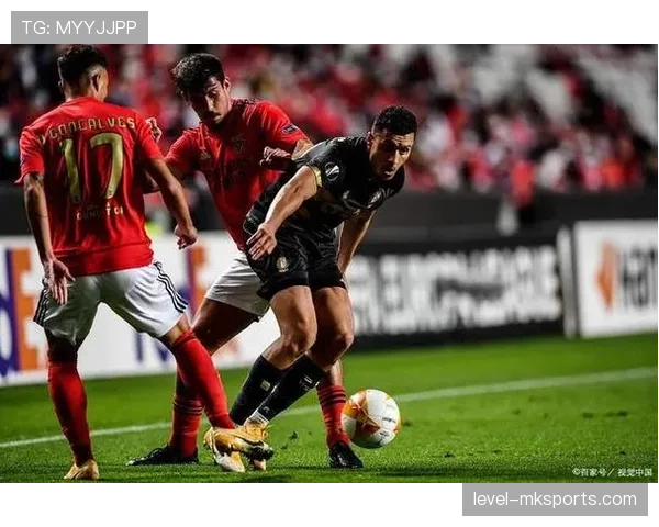 梅赫伦进攻套路